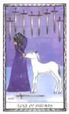 tarot