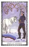 tarot
